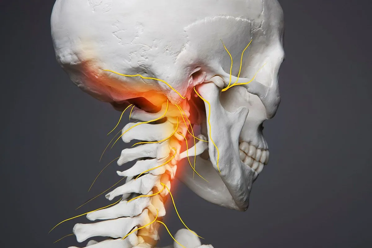Skeleton neck with orange highlighting on neck