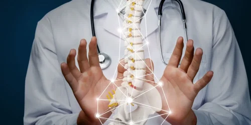 what are intervertebral discs made of