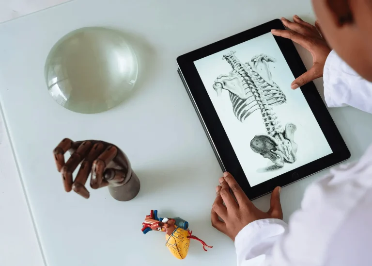 Child examines a spine diagram on a tablet beside anatomical models of a hand, heart, and a concave glass object.