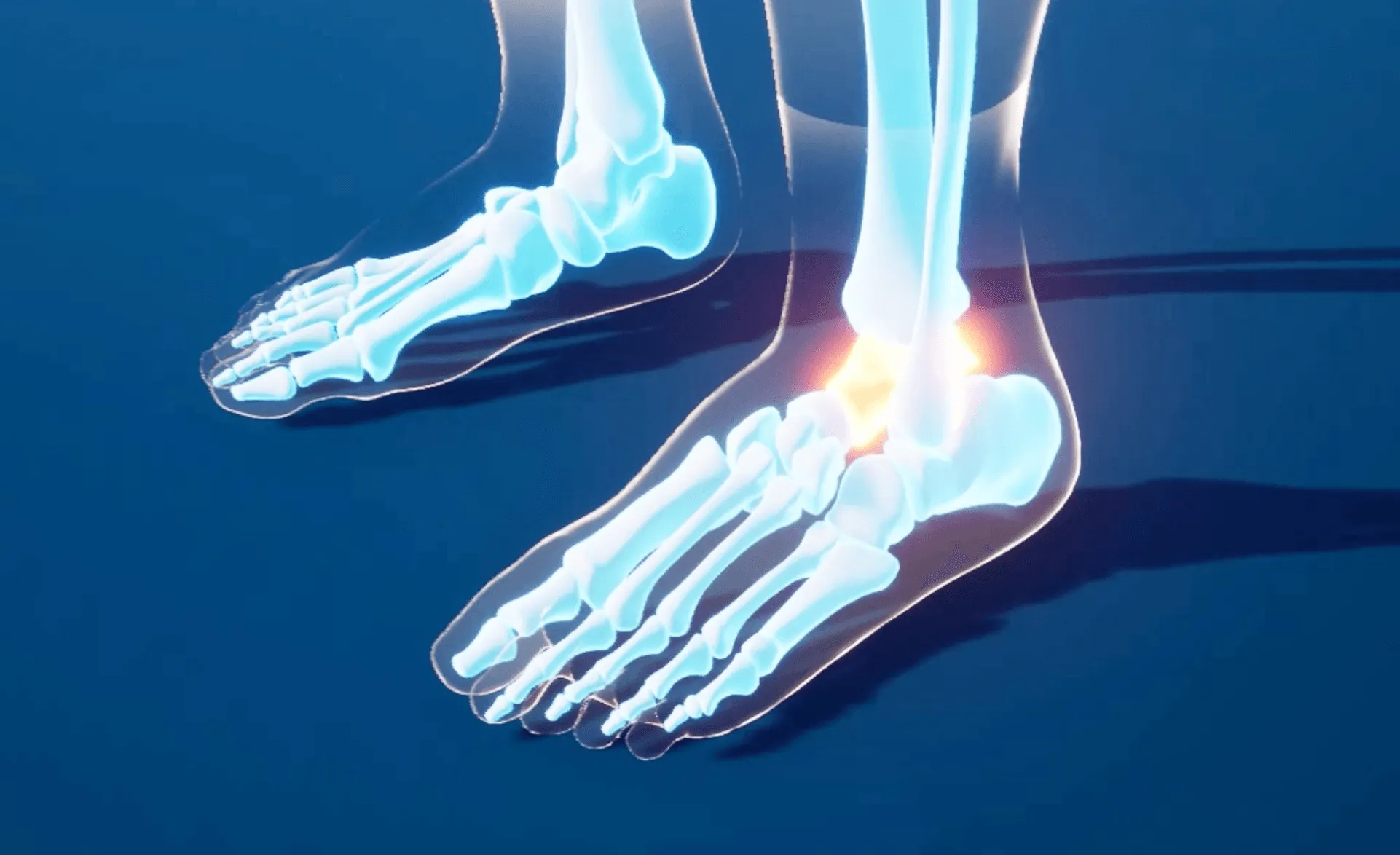 3d render foot.png