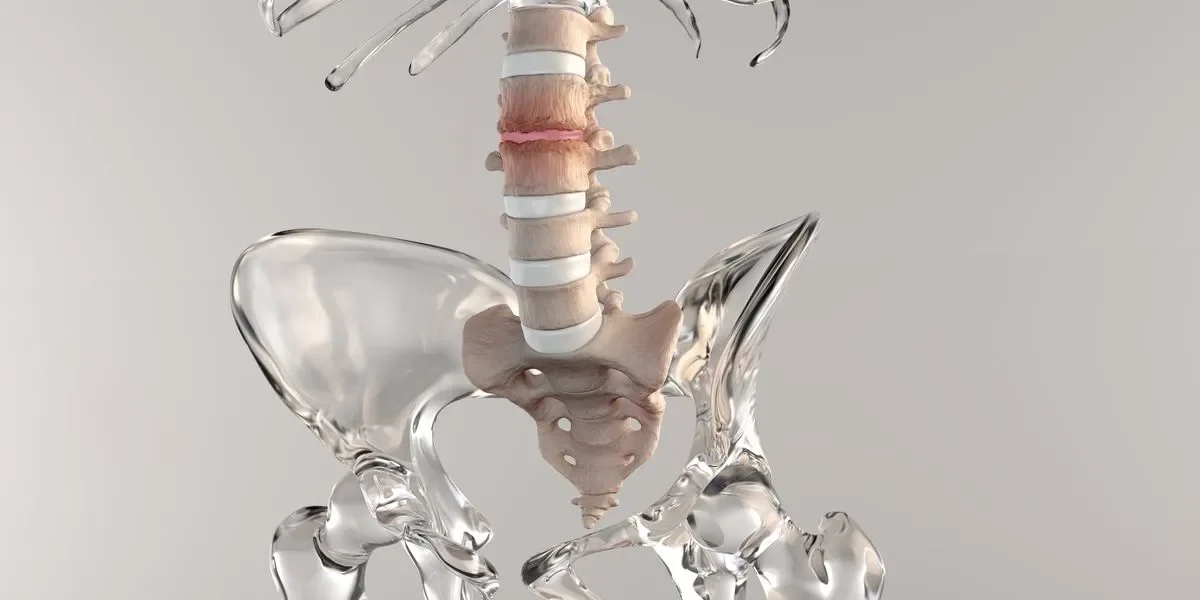 magnesium for bulging disc