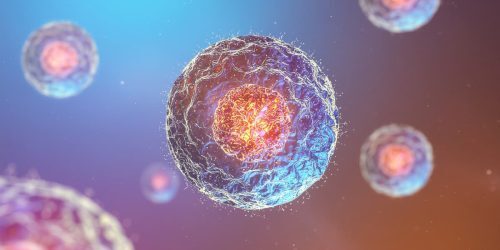 Stem cell therapy for spine