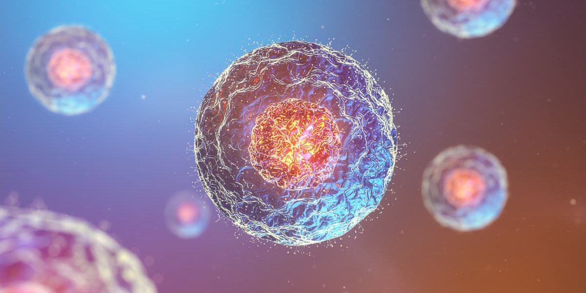 Stem cell therapy for spine